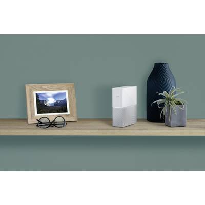 A shelf with glasses, picture frames with a landscape photograph, a digital storage device, and a plant vase against a green background.