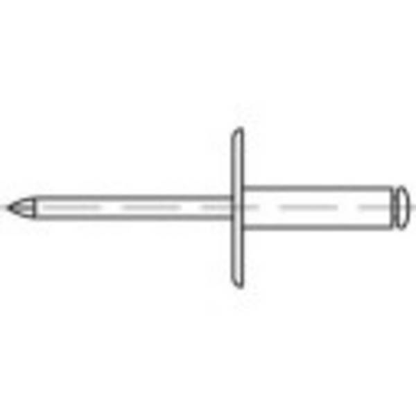 TOOLCRAFT 160170 Open blind rivet (Ø x L) 4.8 mm x 16 mm  Aluminium Steel   250 pc(s)