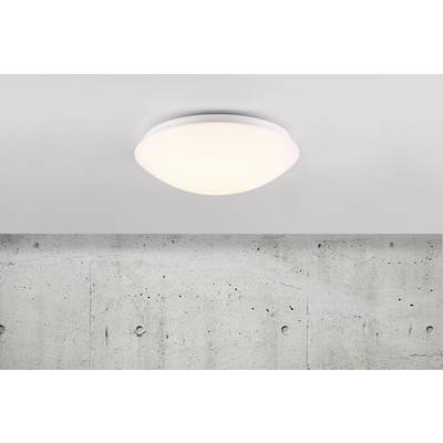 Round, white ceiling light illuminates a grey concrete wall.