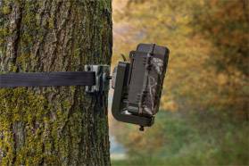 A wildlife camera is attached to a tree, surrounded by autumnal foliage.