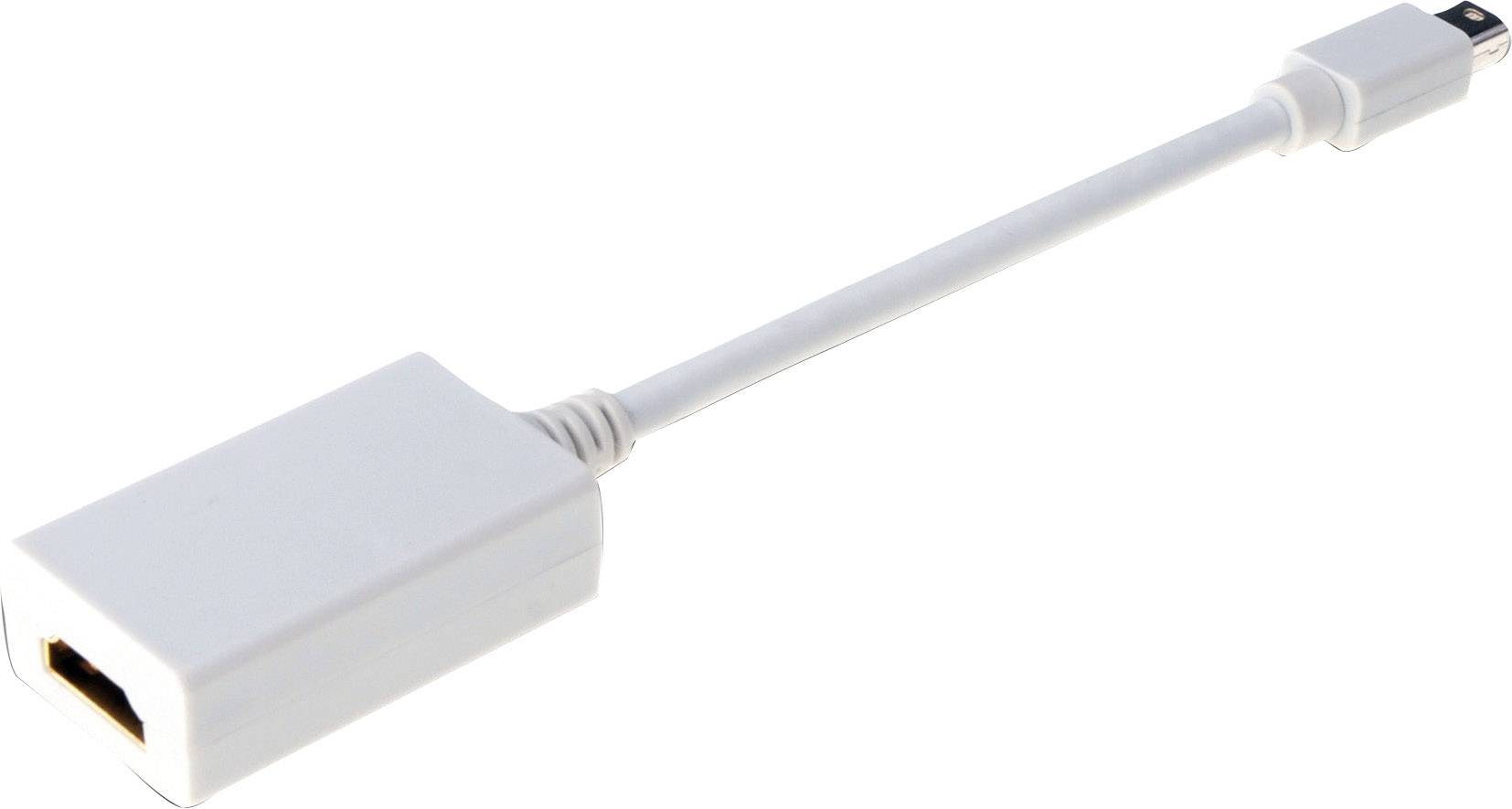 Digitus DA-70463 DVI / DisplayPort / HDMI / Jack / Mini DisplayPort / VGA Adapter [1x DVI plug 19-pin, DVI plug 29-pin, -3