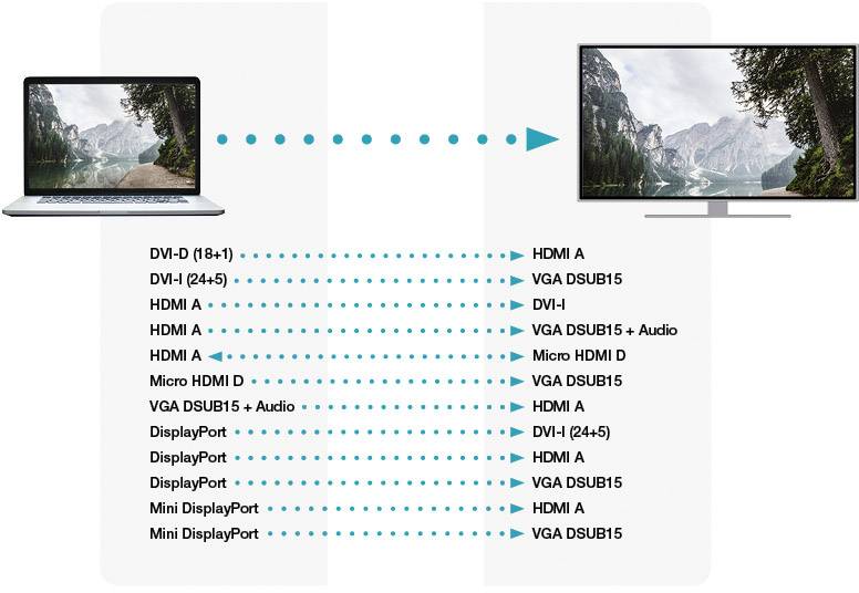 Digitus DA-70463 DVI / DisplayPort / HDMI / Jack / Mini DisplayPort / VGA Adapter [1x DVI plug 19-pin, DVI plug 29-pin, -14