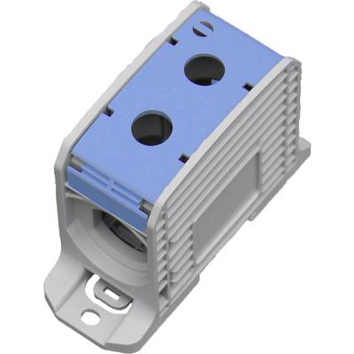 Electrical terminal block with two blue connection openings, suitable for connecting cables in electrical installations.