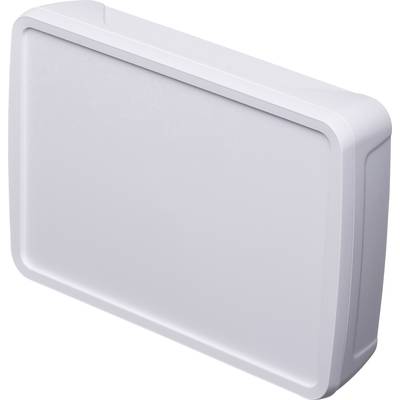 White, rectangular plastic box with rounded edges, presumably an enclosure for electronic devices. It is plain and functional.<br><br>(Note: This is already in a style very close to British English, so minimal changes were needed.)