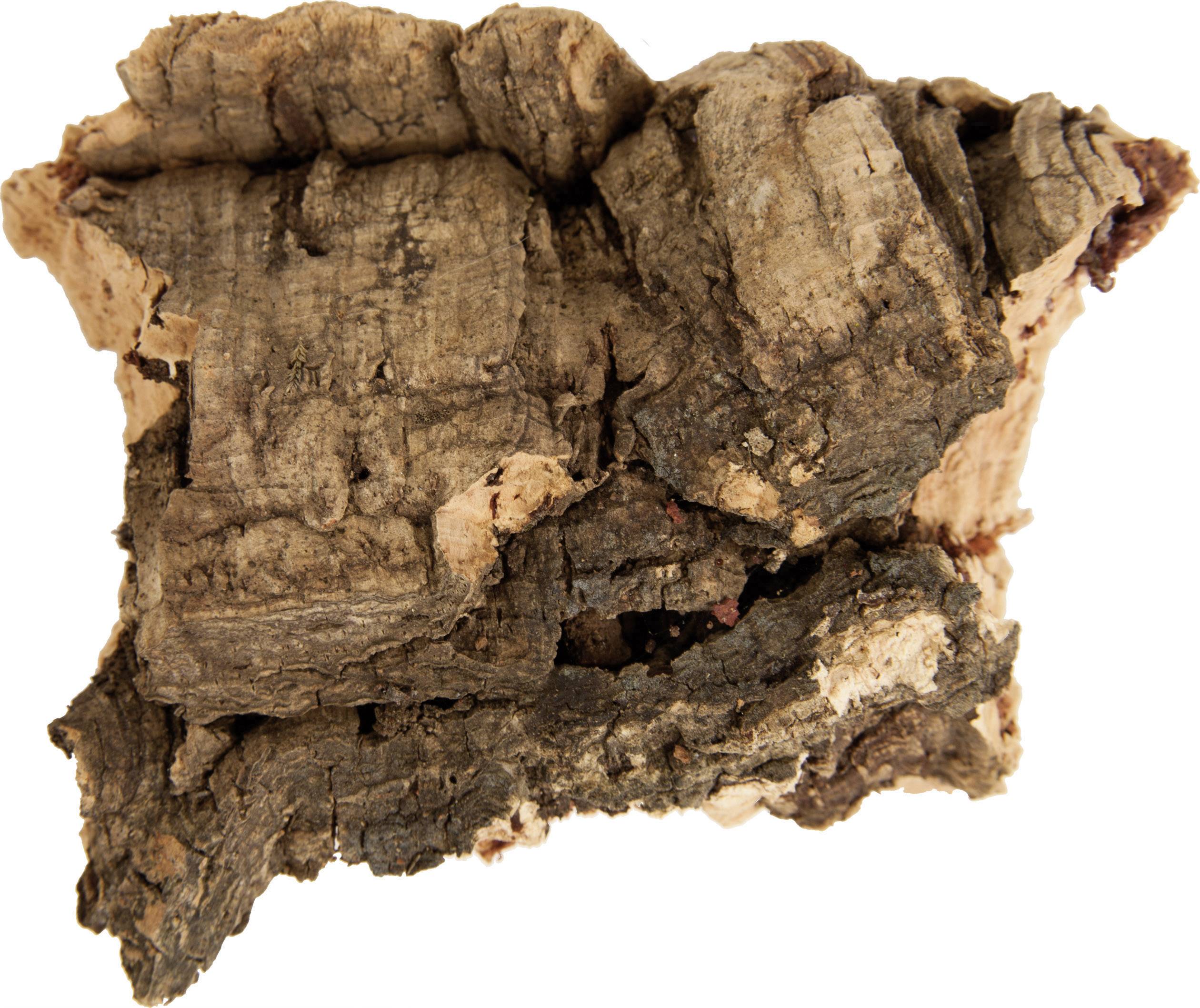 A piece of cork bark in close-up, showing the irregular, rough texture and natural colour variations from light brown to dark brown.