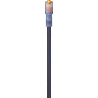 A close-up of a long, black cable with a multi-coloured plug at the top.