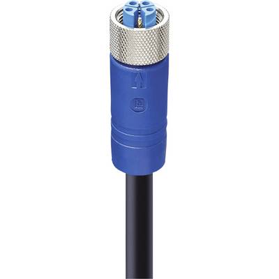 Blue electrical connector with four pins and black cable entry, suitable for industrial or professional applications.
