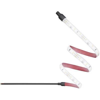 A LED strip light in a curved form. The front shows brightly illuminated LEDs on a flexible, red carrier.