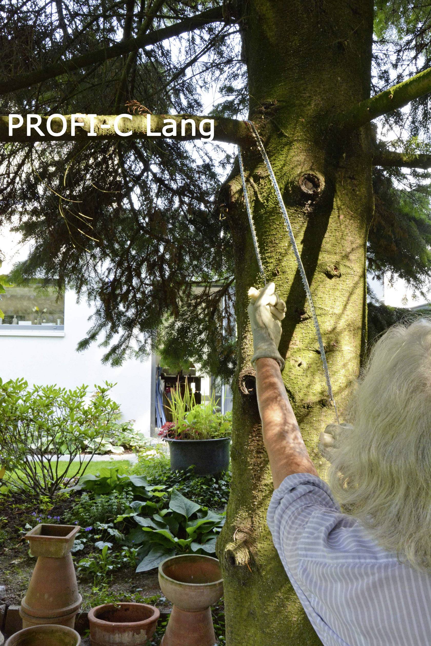 A person is sawing a branch off a tree with a handsaw. A house and a green garden landscape are visible in the background.