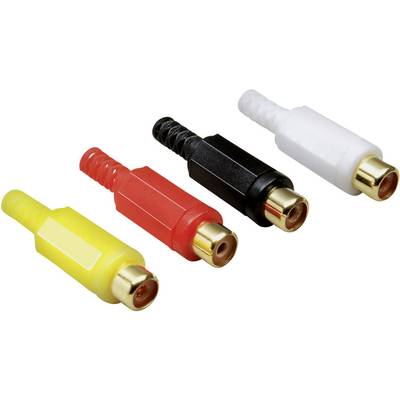 Four RCA plugs in Yellow, Red, Black and White on a white background, used for audio and video connections.