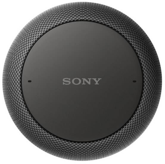 Sony Lf S50g Voice Assistant Black Conrad Com