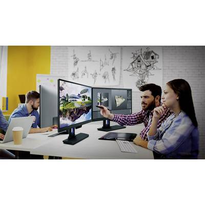 BenQ PD2500Q LED 63.5 cm (25 inch) EEC G (A - G) 2560 x 1440 p WQHD 4 ms HDMI™, USB, DisplayPort, Mini DisplayPort, Head-1