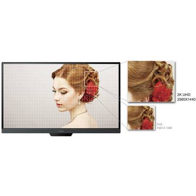 BenQ PD2500Q LED 63.5 cm (25 inch) EEC G (A - G) 2560 x 1440 p WQHD 4 ms HDMI™, USB, DisplayPort, Mini DisplayPort, Head-5