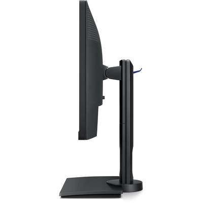 BenQ PD2500Q LED 63.5 cm (25 inch) EEC G (A - G) 2560 x 1440 p WQHD 4 ms HDMI™, USB, DisplayPort, Mini DisplayPort, Head-19