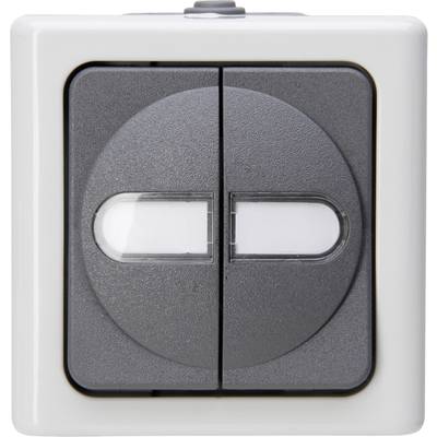 Kopp 560556003 1-piece Switch product range Complete Series switch BlueElectric Grey 