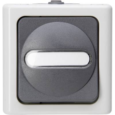 Grey light switch in a square, white casing, with a central toggle switch.