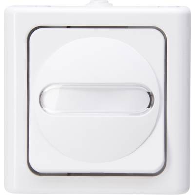 A white, square light switch with an oval, transparent toggle in the centre.