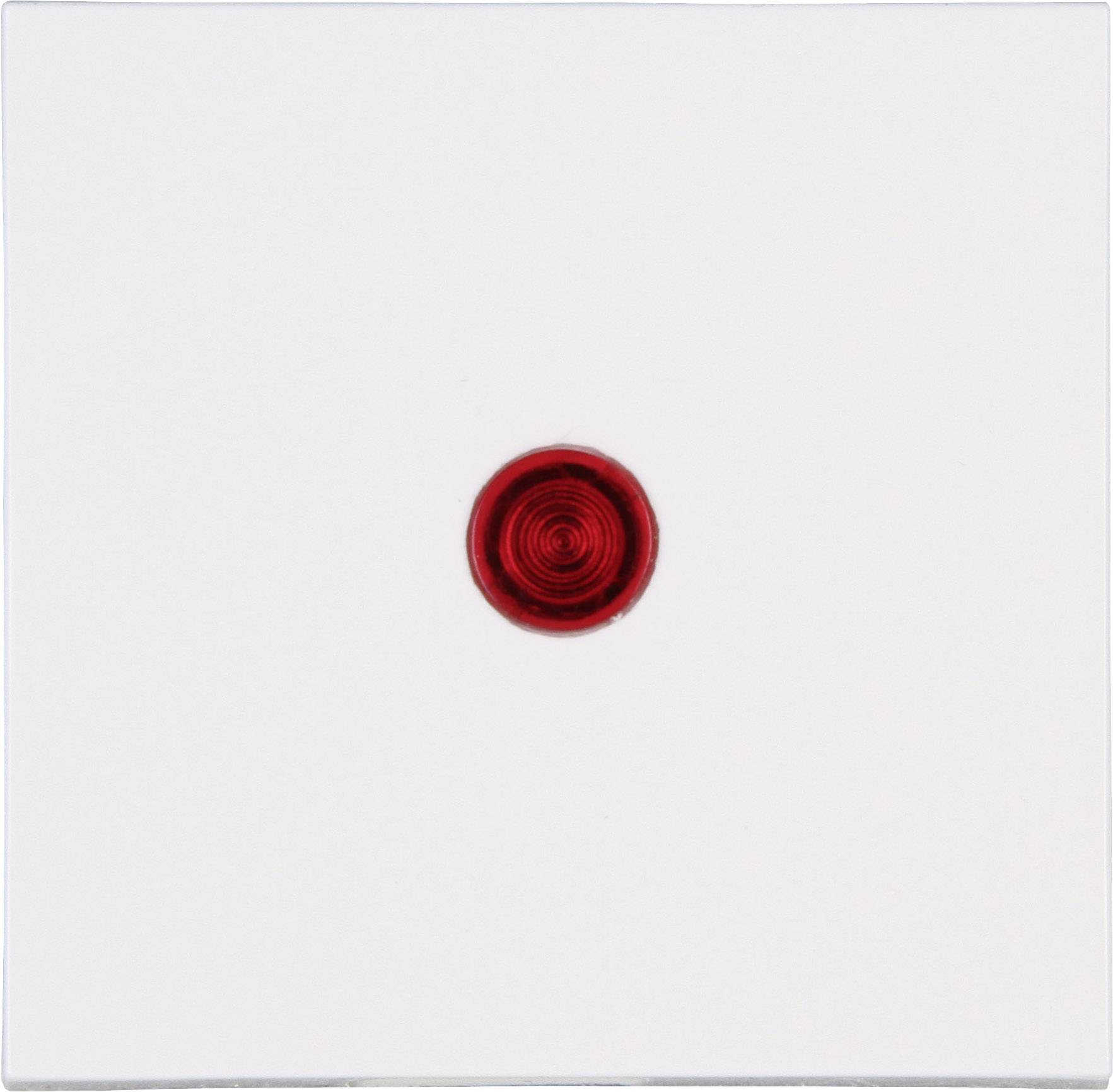 A small, red circle in the middle of a white background.