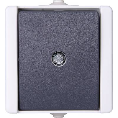 A rectangular wired doorbell button with a centrally positioned button. Housing in grey colour.