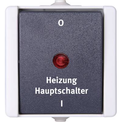 Heating main switch with red indicator light, switch in position '0' for Off.