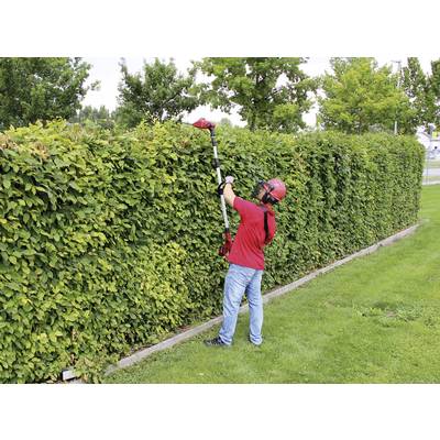 A gardener in a red shirt and blue jeans is trimming a tall, green hedge with an electric hedge trimmer.
