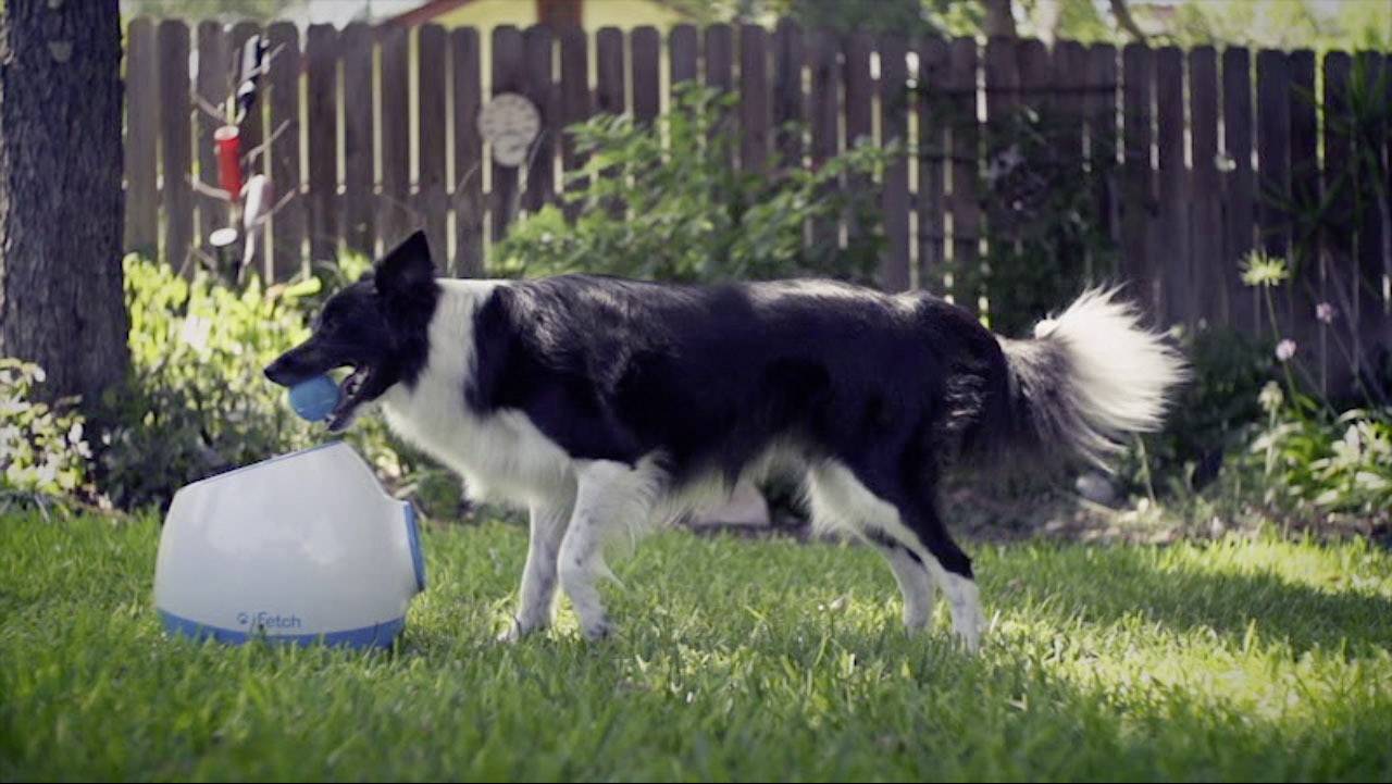 iFetch Too Ball launcher White, Blue 1 pc(s)-10