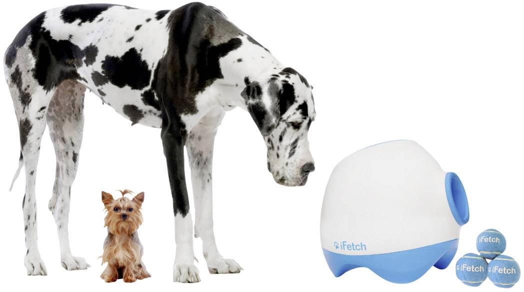 iFetch Too Ball launcher White, Blue 1 pc(s)-15