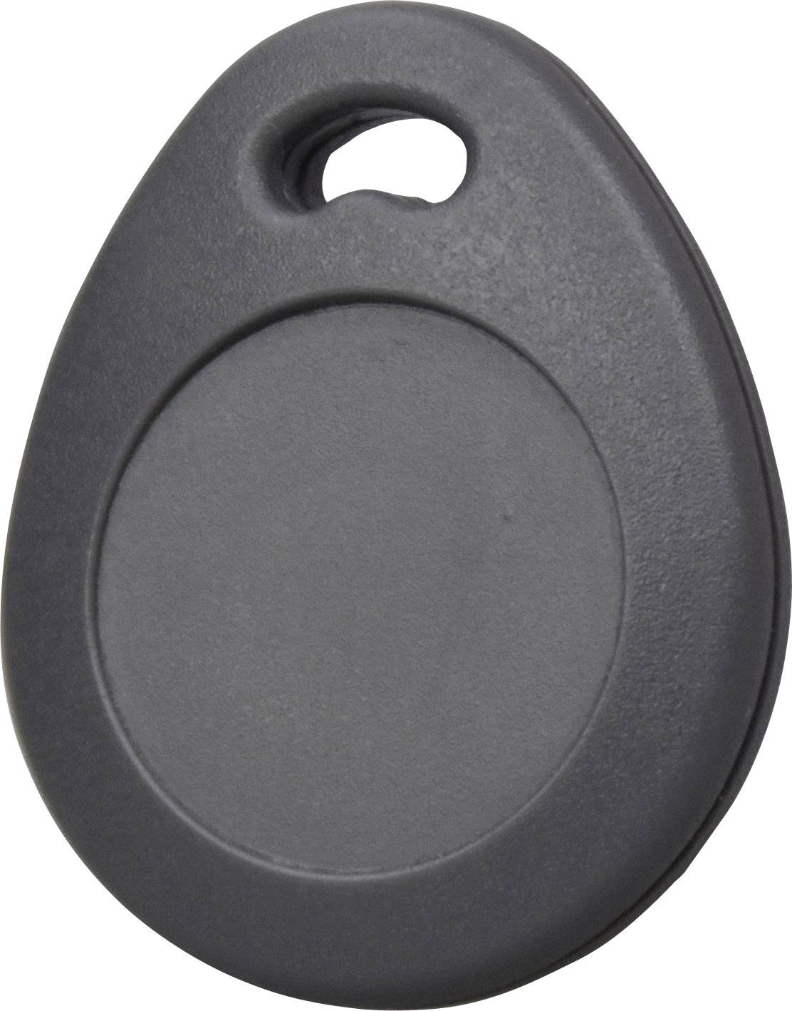 A black, oval key fob with a hole for attaching to a keyring. The fob is unbranded.