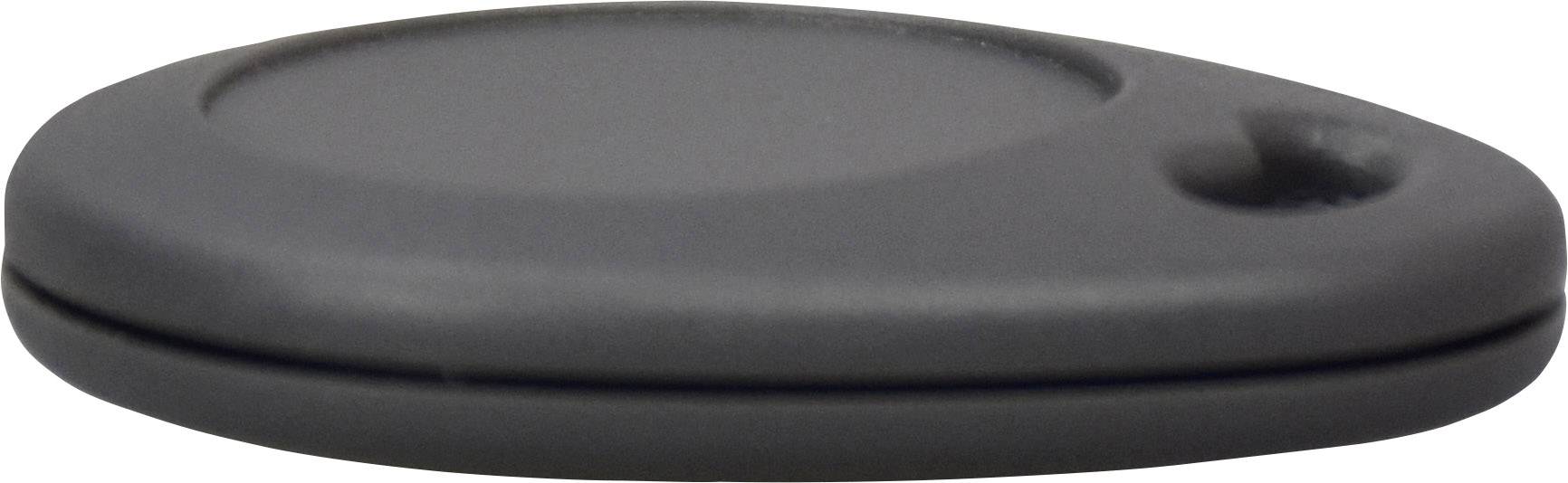 Grey, oval key fob with a smooth surface and a small opening at the edge.