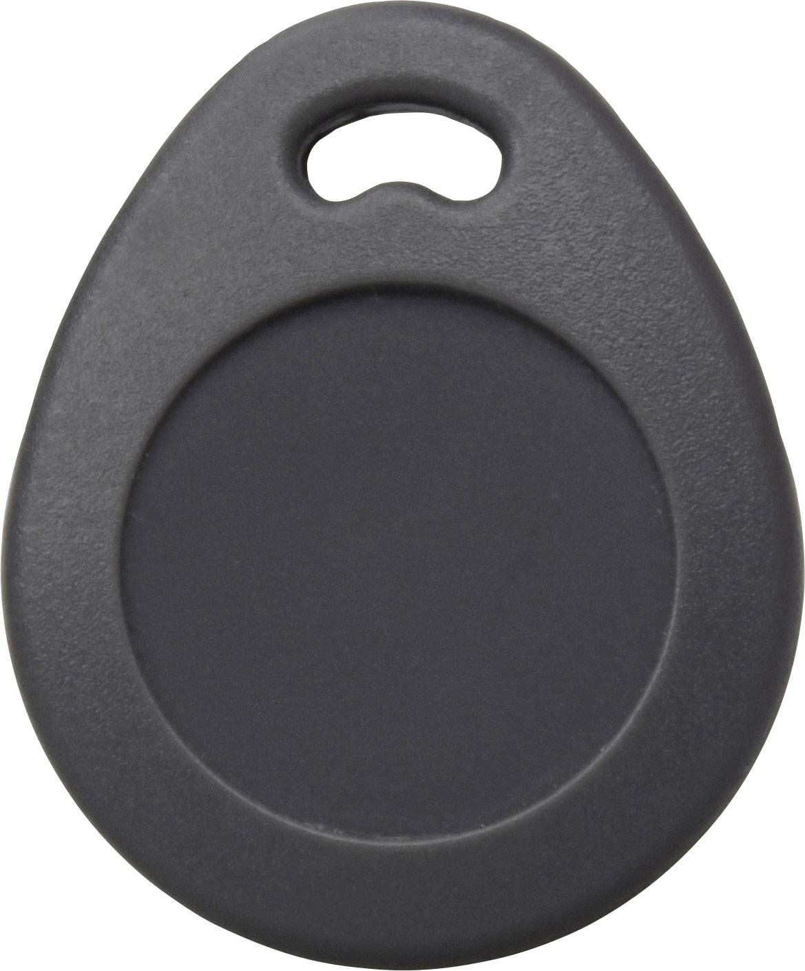 A black, oval plastic key fob with a hole at the top end for attaching to a keyring.