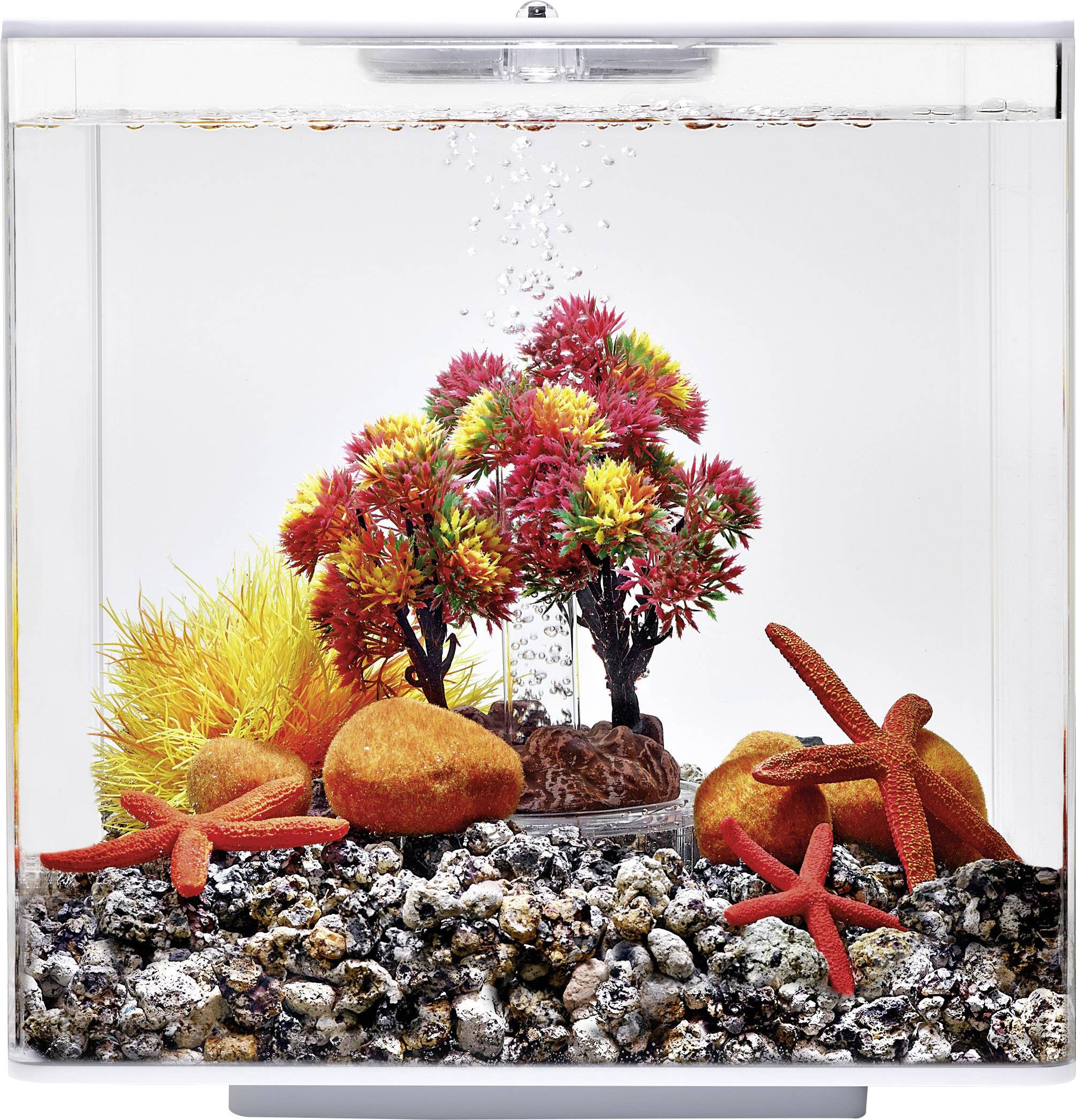Oase 55024 biOrb Decor Set 15L Herbst Fish tank decoration 15 l-1