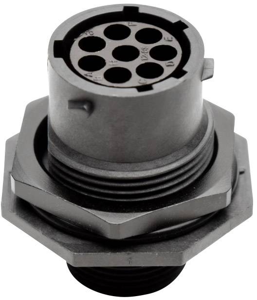 Amphenol RTS 7 12N 8S03 Bullet connector Socket, built-in Total number of pins: 8 Series (round connectors): Ecomate Aquarius 1 pc(s)