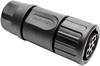 Amphenol RTS 6BS 14N 8S03 Bullet connector Connector, straight Total number of pins: 8 Series (round connectors): Ecomate Aquarius 1 pc(s)