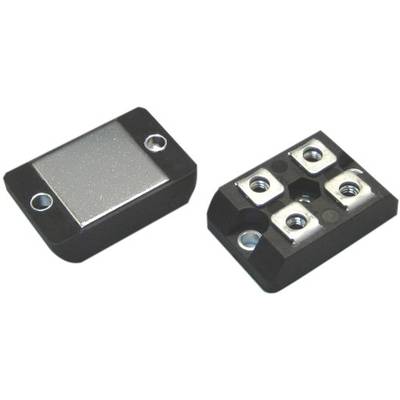 Two rectangular electronic components made of black material with metallic contacts, presumably for mounting or connection.