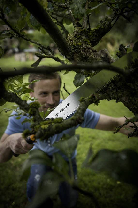 A person is sawing branches off a tree in the garden.