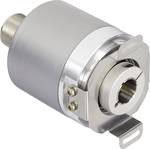 Absolute rotary encoder