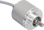 Absolute rotary encoder