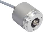 Absolute rotary encoder