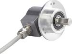 Absolute rotary encoder