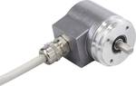 Absolute rotary encoder