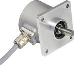 Absolute rotary encoder