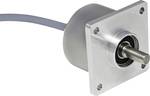 Absolute rotary encoder