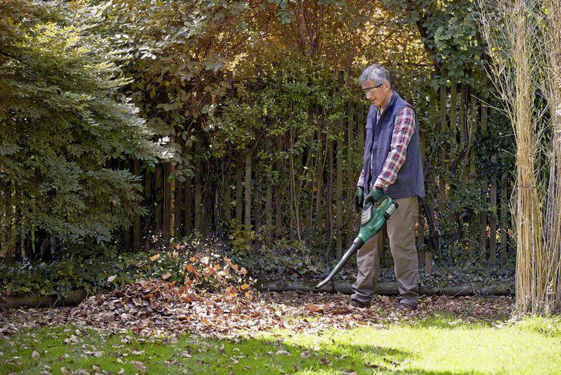 A person is using a leaf blower to blow autumn leaves into a pile in a garden. Trees and bushes are visible in the background.