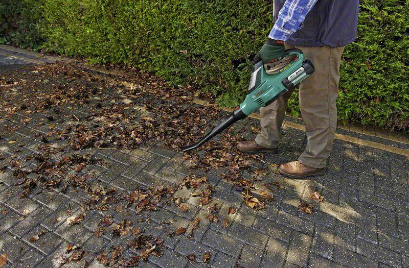 A person is using a leaf blower to collect dry leaves from a paved pathway. Bushes can be seen in the background.
