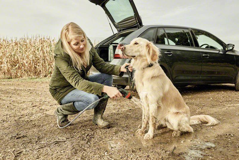 Bosch Home and Garden Fontus Portable cleaner (incl. battery) 12 bar Cold water-13