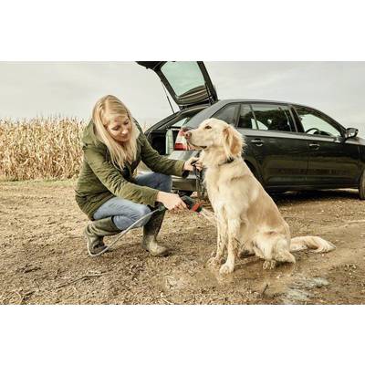 Bosch Home and Garden Fontus Portable cleaner (incl. battery) 12 bar Cold water-13