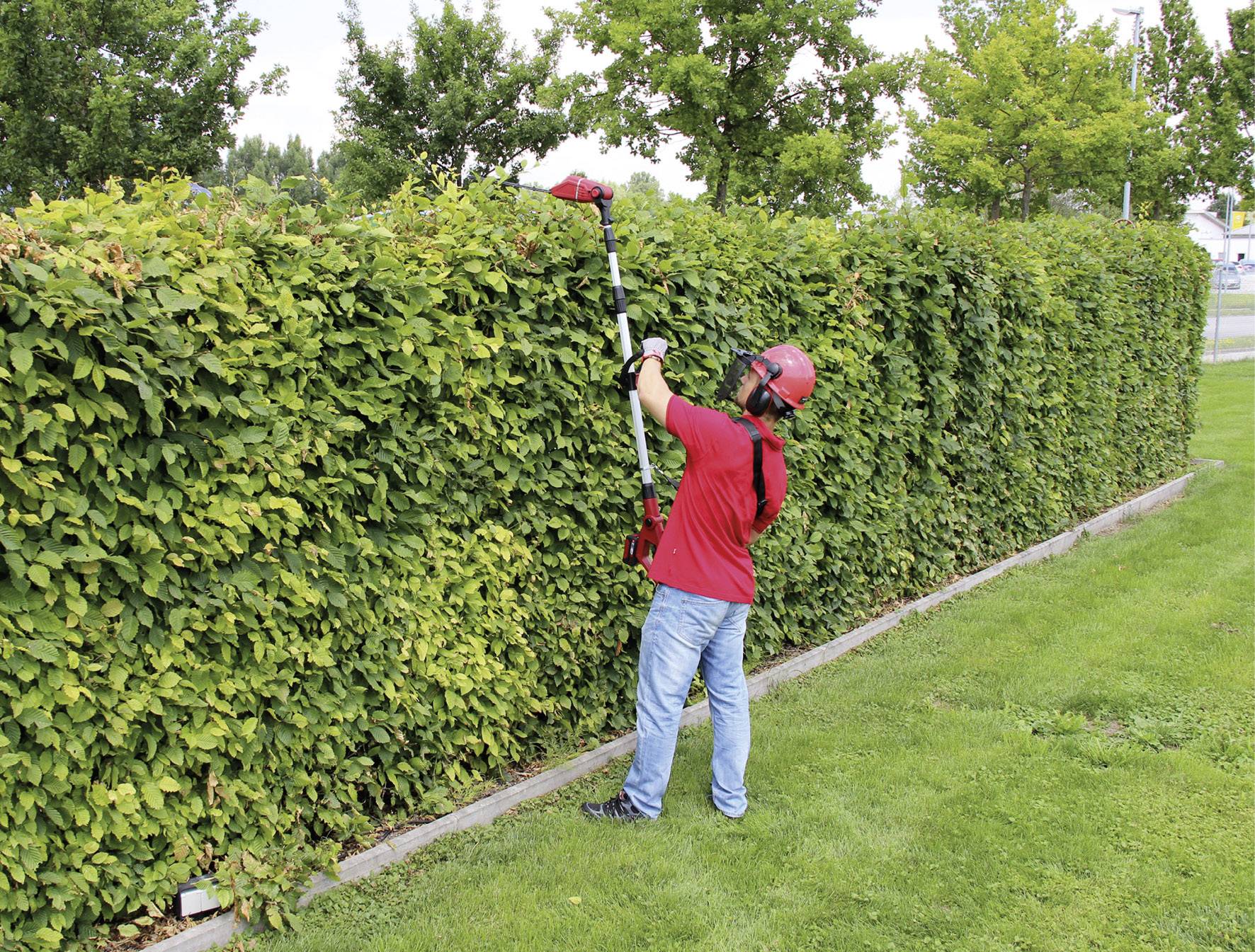 A person is cutting a tall green hedge with an electric hedge trimmer. They are wearing a red helmet and safety glasses.