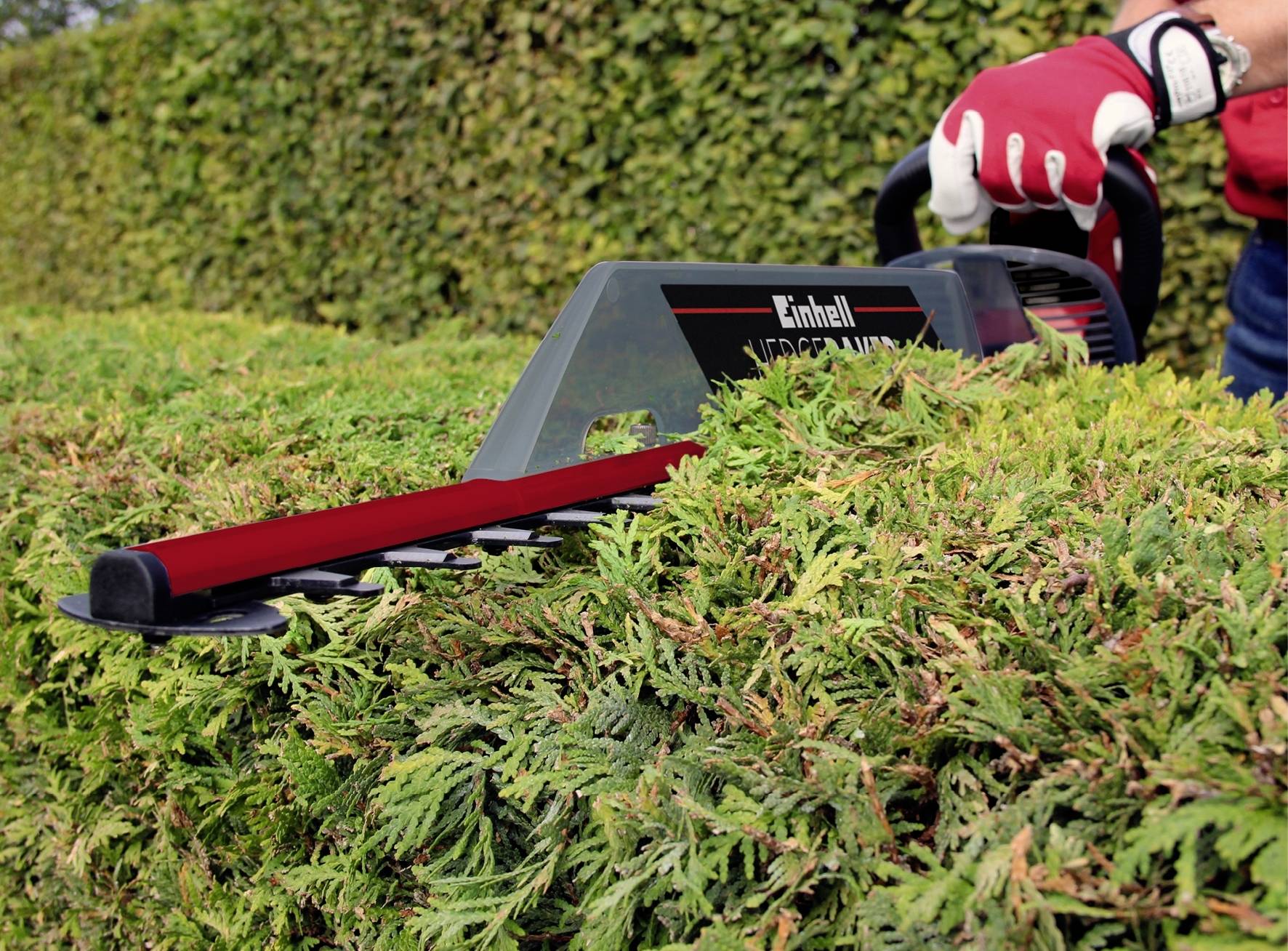 einhell hedge trimmer