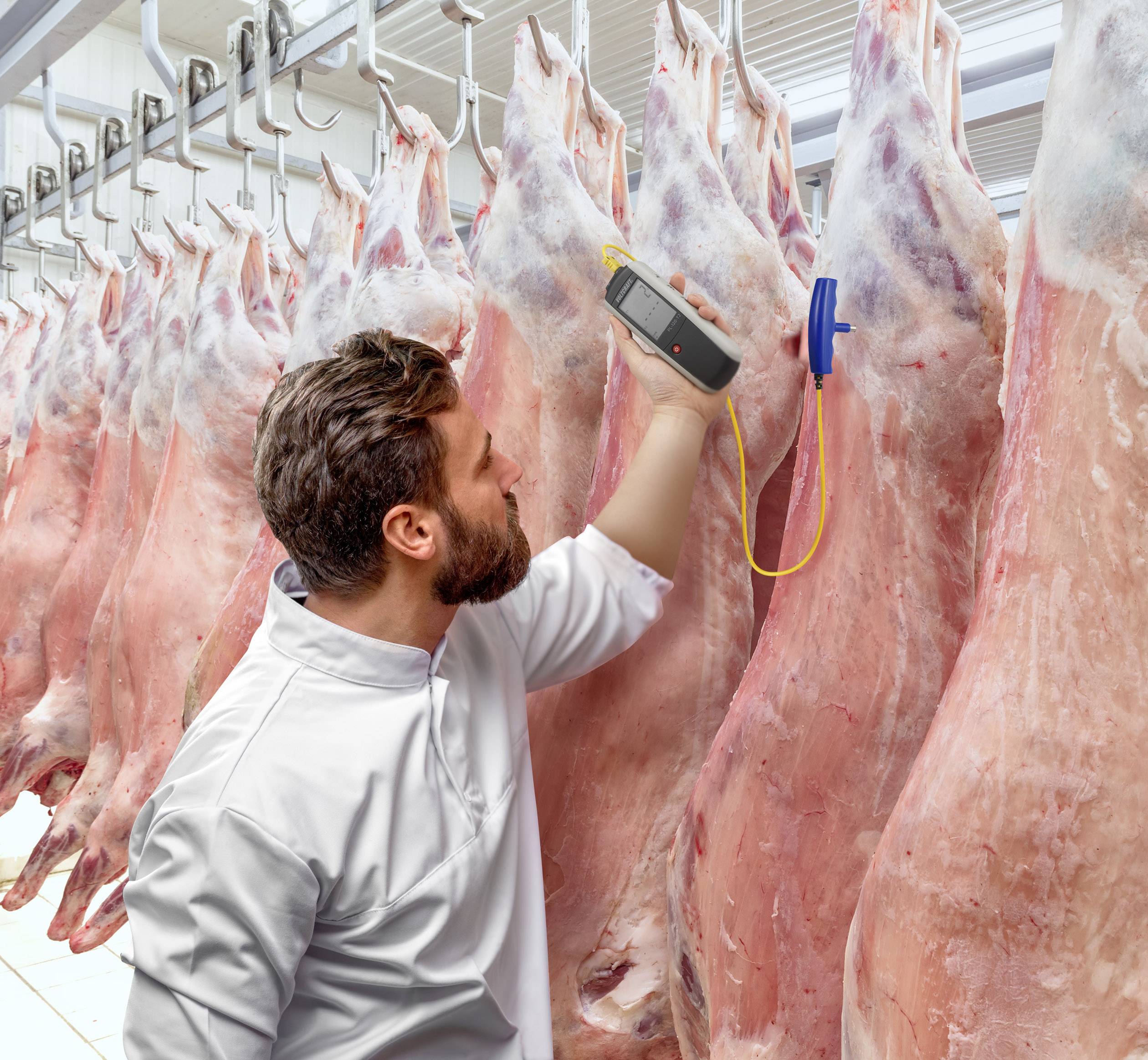 A man in white workwear is inspecting meat halves in a cold storage room using a measuring device. The environment appears hygienic and sterile.