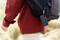A person wearing a red jacket is carrying a black rucksack with a portable, hanging device attached to it, in a natural environment.